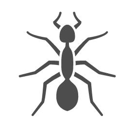 Ants