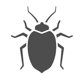 Bed bugs