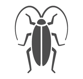 Cockroaches