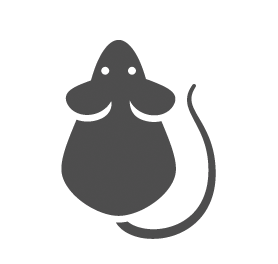 Mice & Rodents