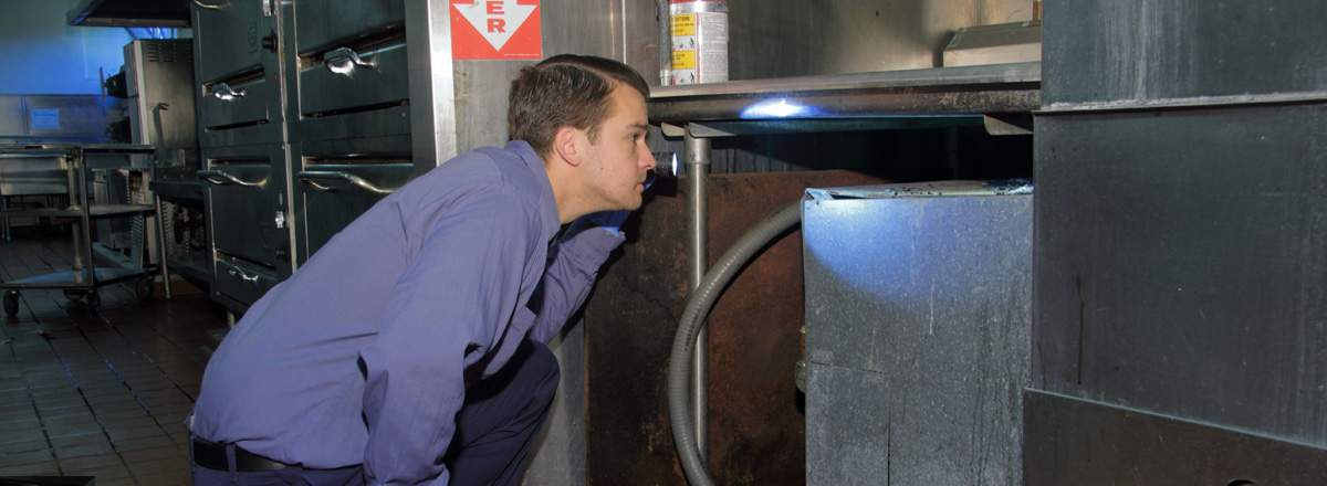 San Francisco Pest Control