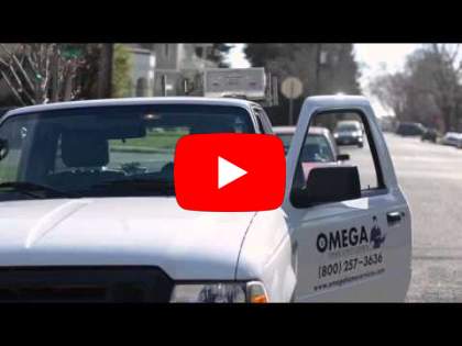 Omega Termite Pest Control San Francisco Bay Area